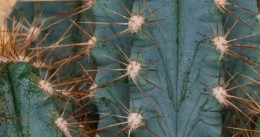 400 x 212 workshop.jpg