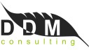 DDM Consulting Nederland b.v.