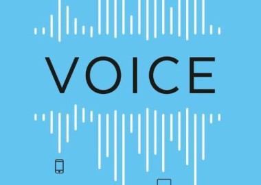 voice.jpg